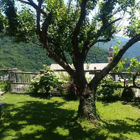 La Via Del Mare- Golfo Paradiso Ge * Uscio