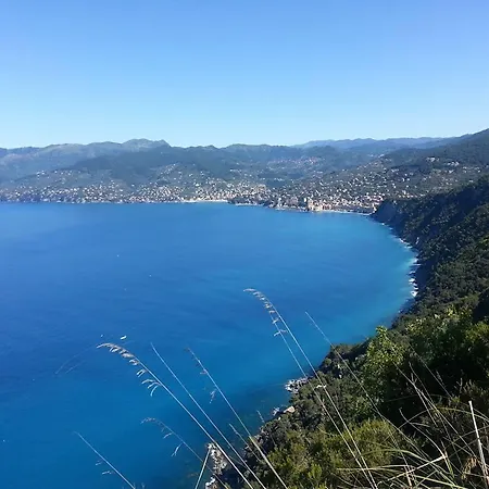 Apartment La Via Del Mare- Golfo Paradiso Ge *